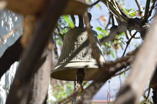 爱游戏体育-NBA球员转会市场动态，nba转会名单