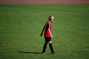 爱游戏入口-NBA球员高原训练对平原比赛状态的影响，平原运动员进行高原训练原因